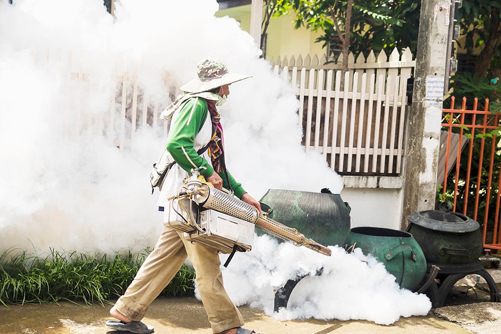 man-is-using-thermal-fog-machine-protect-mosquito-spreading (1).jpg man-is-using-thermal-fog-machine-protect-mosquito-spreading (1).jpg
