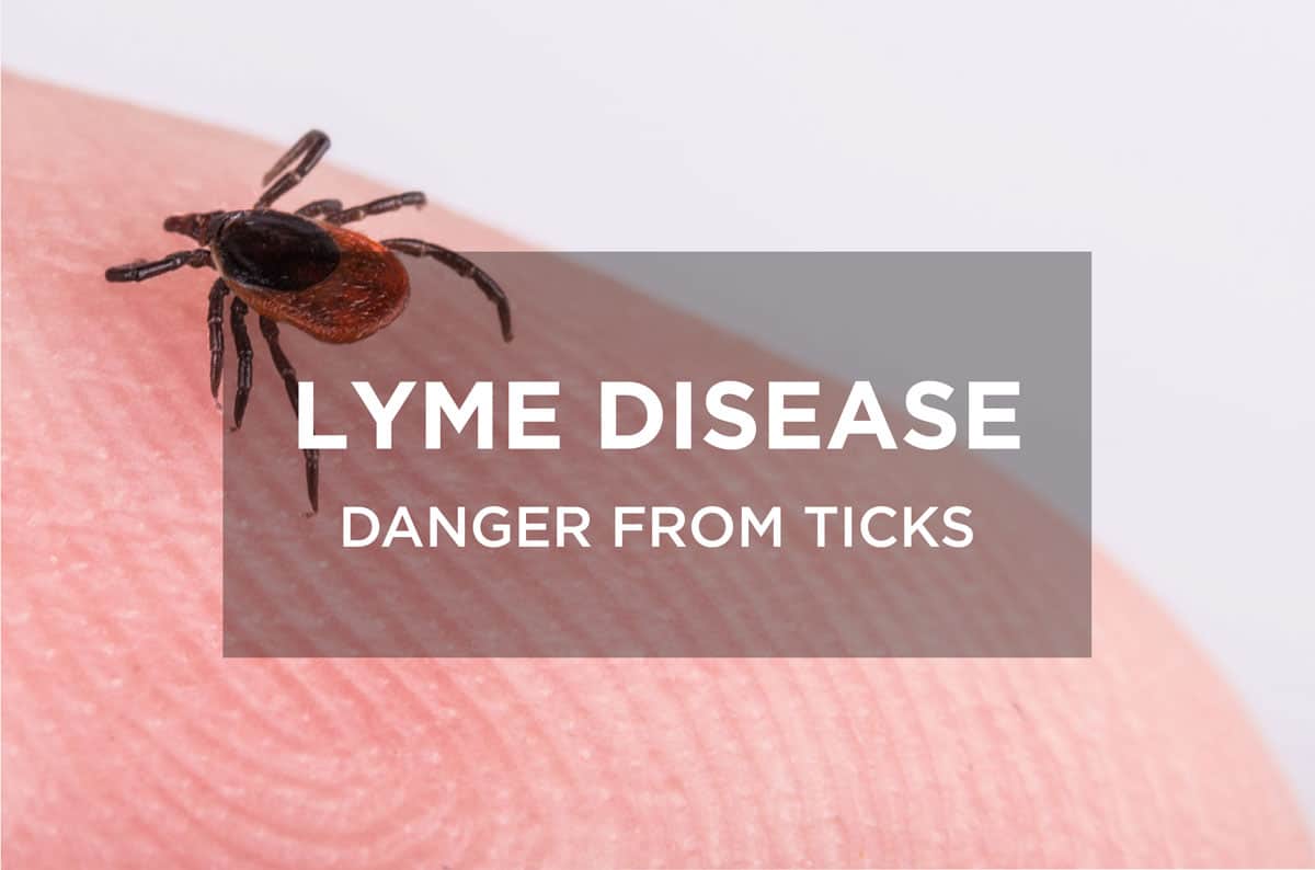 Lyme-disease-02.jpg Lyme-disease-02.jpg